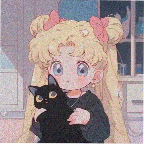 林知秋 头像